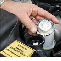 Radiator Cap